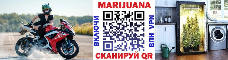 купить наркотик  MEGA рабочий сайт  Бошки марихуана гибрид  Челябинск 